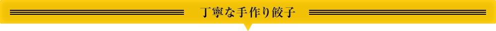 丁寧な手作り餃子